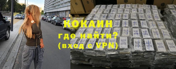шишки Беломорск