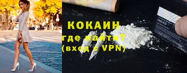 шишки Беломорск