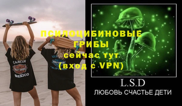 шишки Беломорск
